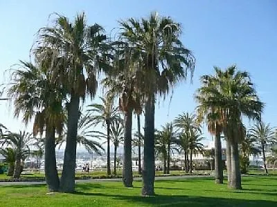 Panoramer Appartement Cannes